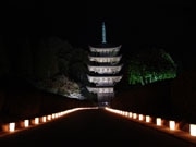 香山公園に約1,000本のキャンドル－「山口ゆらめき回廊」