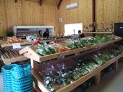 山口・徳地に生鮮野菜の直売所－地元生産者が商品を持ち寄り