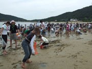 山口・秋穂の恒例「えび狩り世界選手権大会」、参加受け付け始まる