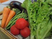 山口・湯田温泉で県産野菜の立食パーティー－野菜ソムリエが説明も