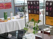山口宇部空港で「スイーツ博」－ビル内で販売中のスイーツ集結、限定商品も