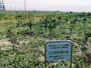 宇部で「エコフェア」－カーボン・オフセット啓発活動で車来場者にチャリティー募金