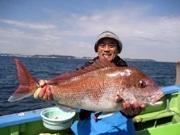 横須賀の釣り船で「マダイバトル」－東京湾のマダイ大物釣り競う