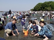 東京湾名物の走水「潮干狩り」に2千人超－GW初日の横須賀で