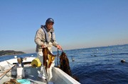 漁師が東京湾の船上からインターネット販売－横須賀・東部漁協夕市会