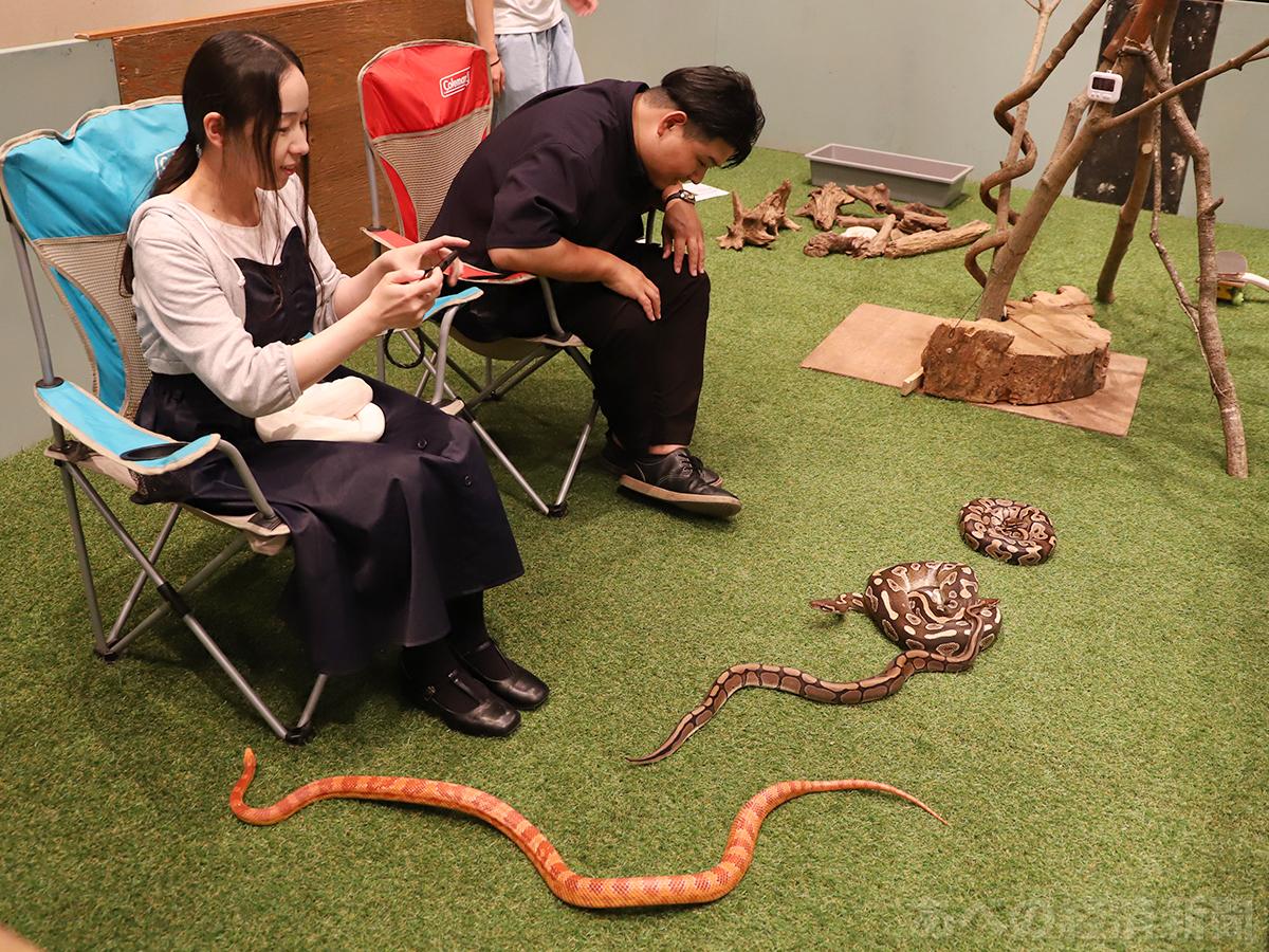 ヘビを観察してもらう「ヘビガーデン」