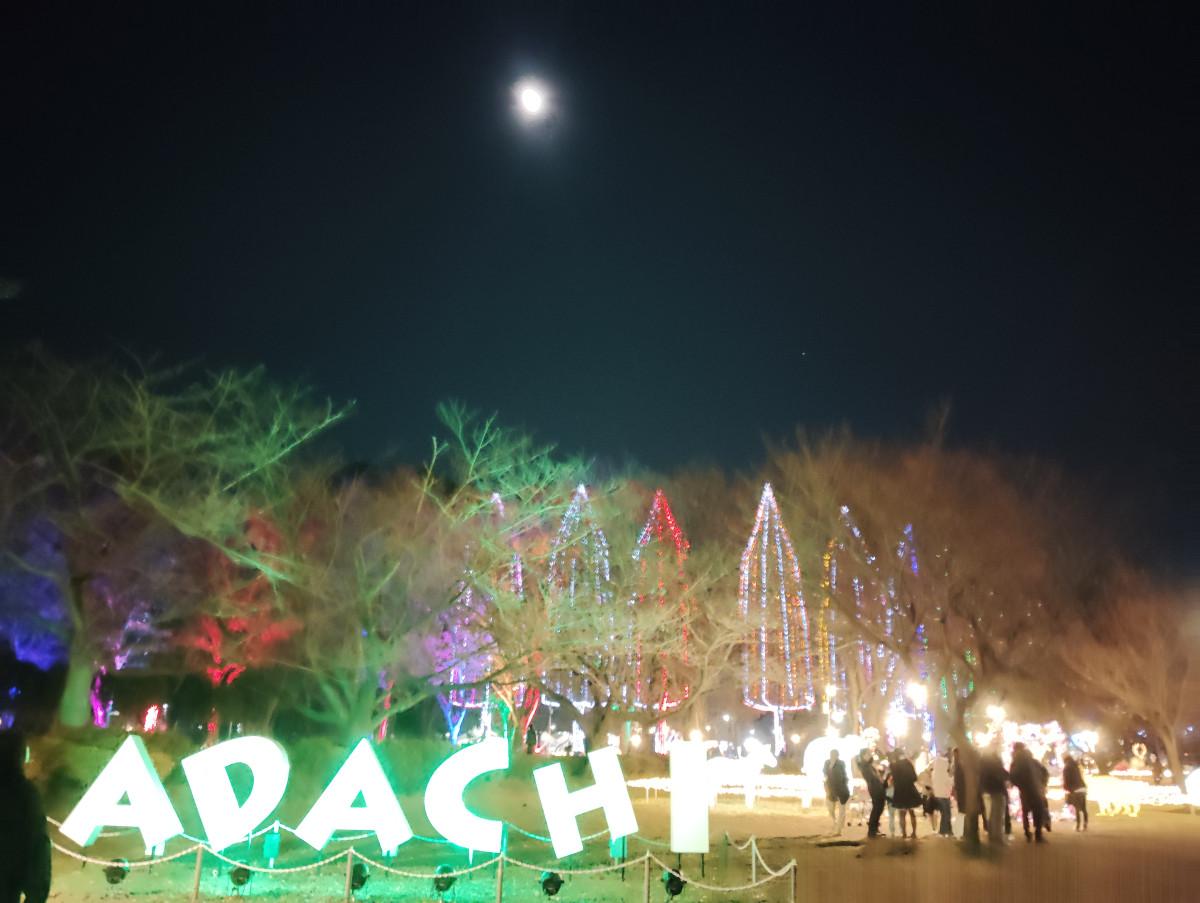 冬の公園を彩る