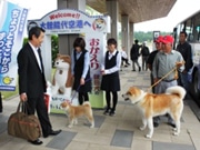 秋田犬が到着旅客を出迎え 大館能代空港