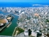 那覇空港を「花取引の拠点」に-ANA総研が提案