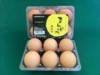 セントレアで「鶏卵」免税販売 シンガポール渡航者限定、国産高品質食材PR企画
