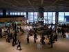 Narita Airport Surpasses 700 Mil. Travelers - Commemorative Gift for Milestone-Achieving Passenger