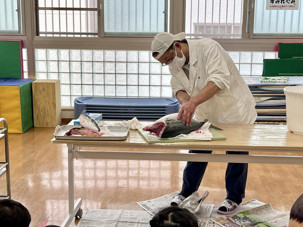 園児たちの前で大きなブリを手際よくさばく様子