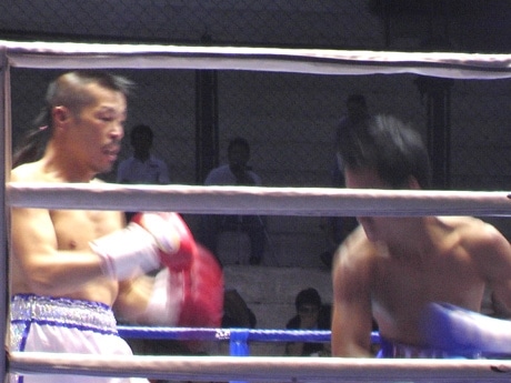 ボクシング 辰吉丈一郎 サイン入りマスコットグローブ 辰吉丈