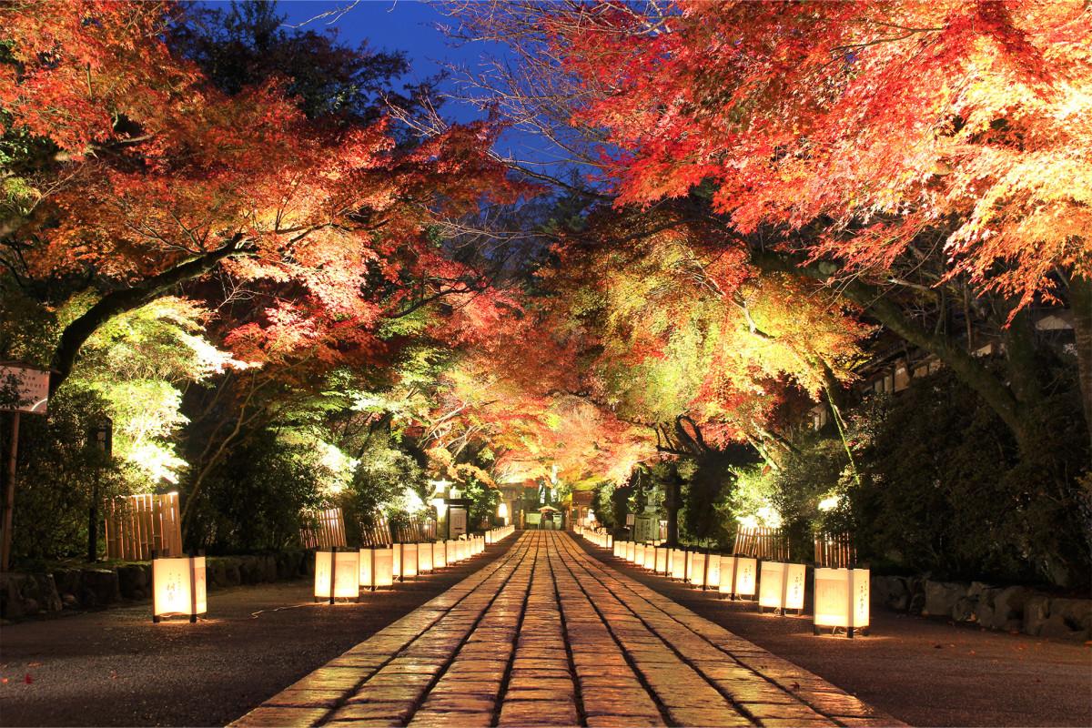 ライトアップされた石山寺を参拝する