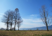 琵琶湖岸でドライブスルーマーケット 「3密を避けて琵琶湖と地元の食を楽しんで」