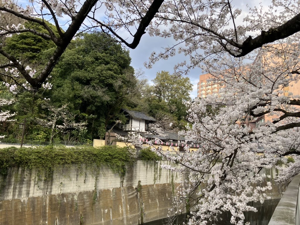 神田川の関口大洗堰があった跡付近