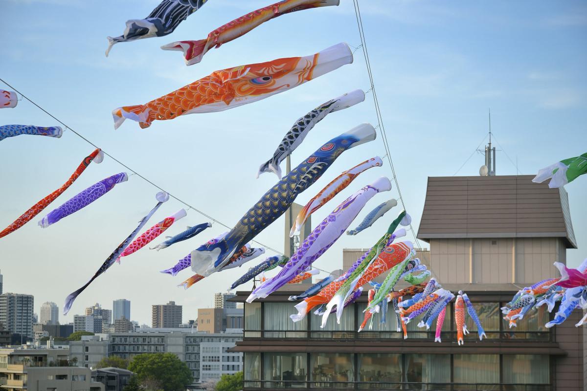 ホテル椿山荘東京の庭園上空を泳ぐこいのぼり。カラフルな100匹が風をはらみ大空を舞う