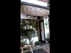 本郷の野菜・果物ジュース専門店に甘酒 神田「天野屋」の糀(こうじ)使う
