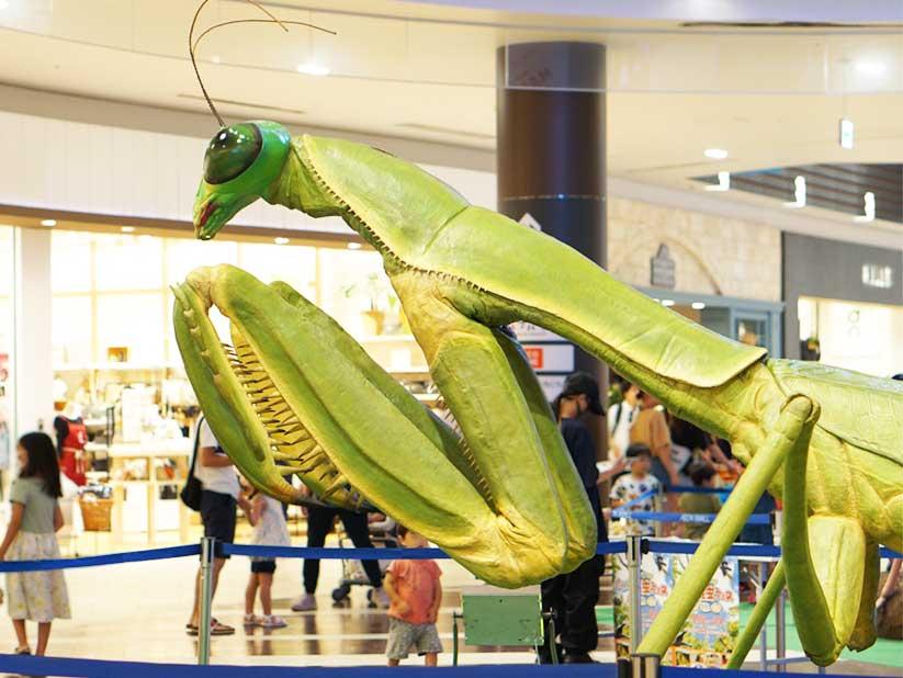 昆虫ロボットの展示(写真提供=日販テクシード)