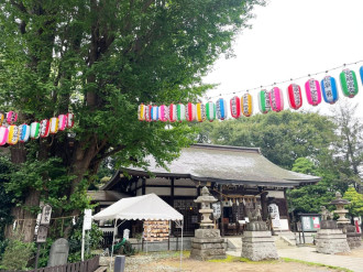 千葉・登渡神社で例祭　みこし渡御や3日間の奉納演芸