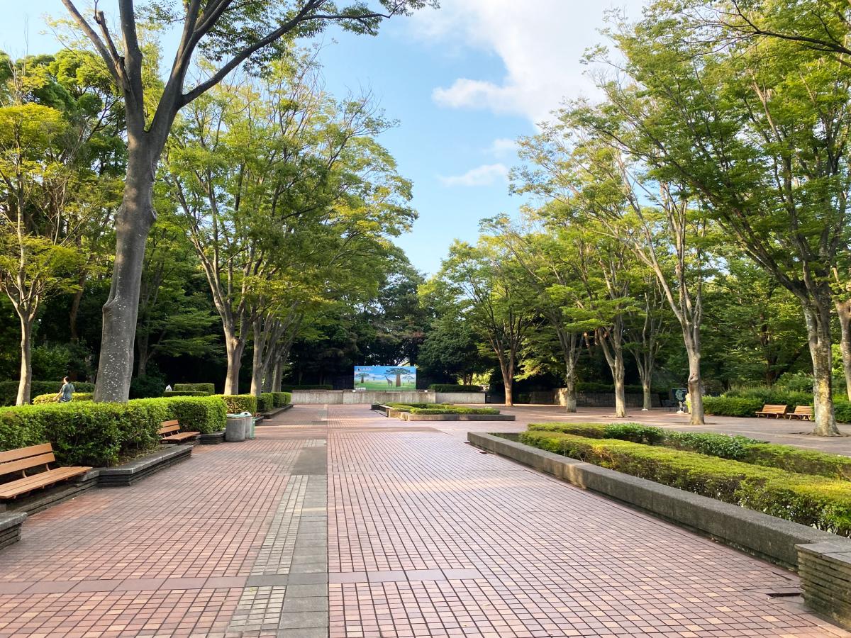 千葉市動物公園中央広場