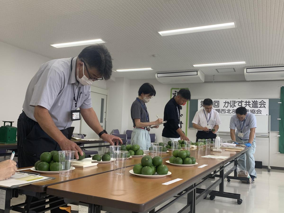 観察と計測で審査を行う