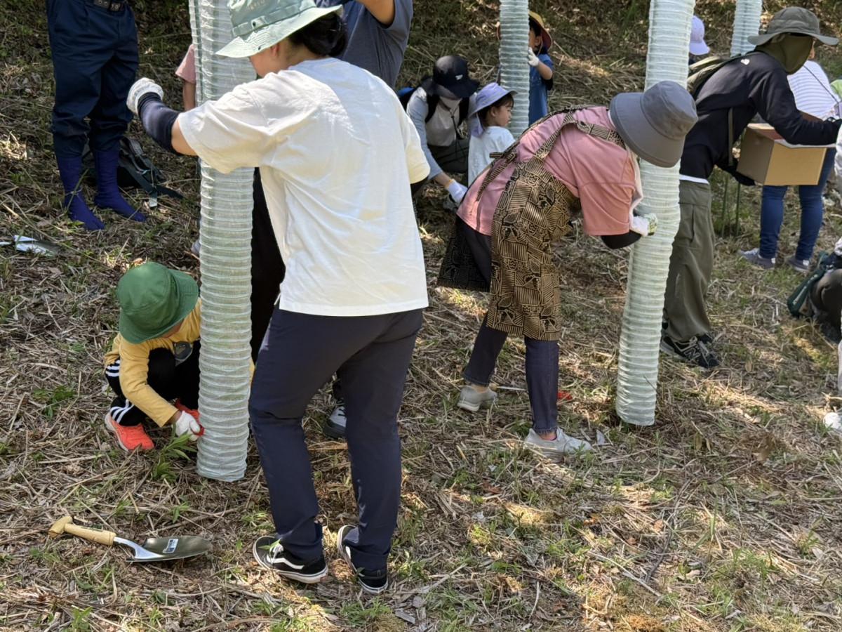 木を植えた後は、鹿などの動物に食べられないよう保護する