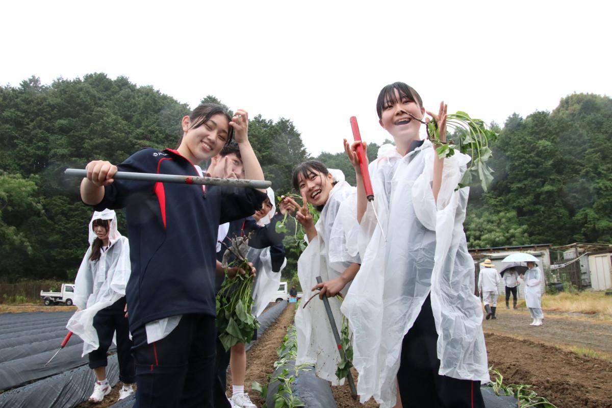 田川市の新たな特産品を目指し、サツマイモの苗を植える東鷹高校の生徒たち＝サツマイモプロジェクト苗植え交流会（写真提供＝田川市）