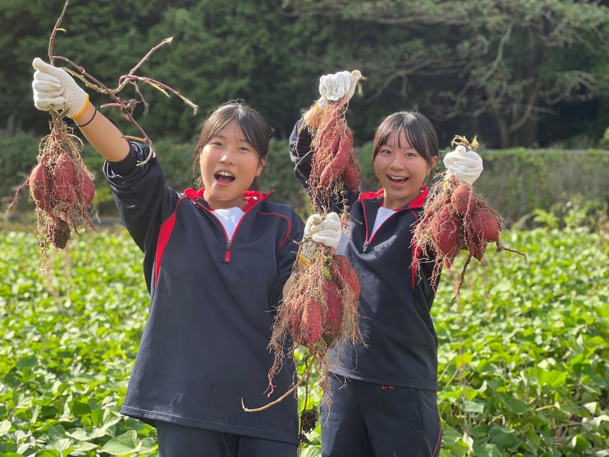 掘り出した芋を掲げる東鷹高校の生徒たち
