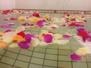 調布・柴崎駅前の銭湯でバラ風呂 母の日に感謝を込め女性風呂限定で