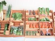 調布・つつじヶ丘に農家直送の八百屋　「ほんとうのごちそう」取りそろえ