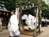 調布・布多天神社で「夏越大祓」 7月7日・8日には七夕祭も