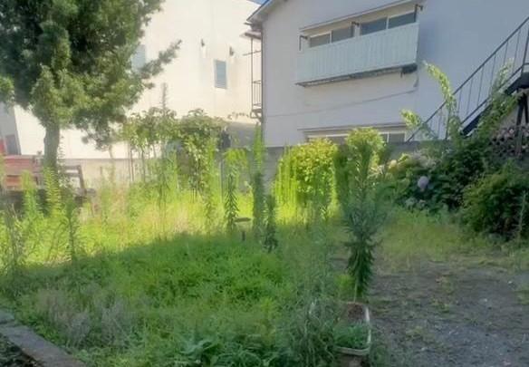オープンに向けて準備を進める「FREE」。敷地内には庭、建物には屋上がある（写真提供＝FREE）