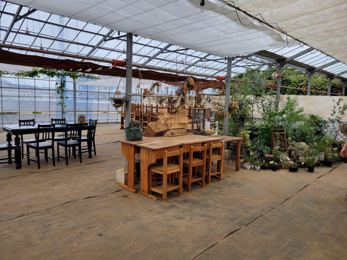 飯山満中学校のすぐ近くにある「みのりのにわ」