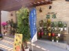 船橋の老舗フラワーショップ「花源」がリニューアル 開放的な店内に