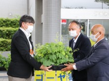 日本造園建設業協会千葉県支部がゴーヤ苗を船橋市に寄贈、緑化や節電に寄与