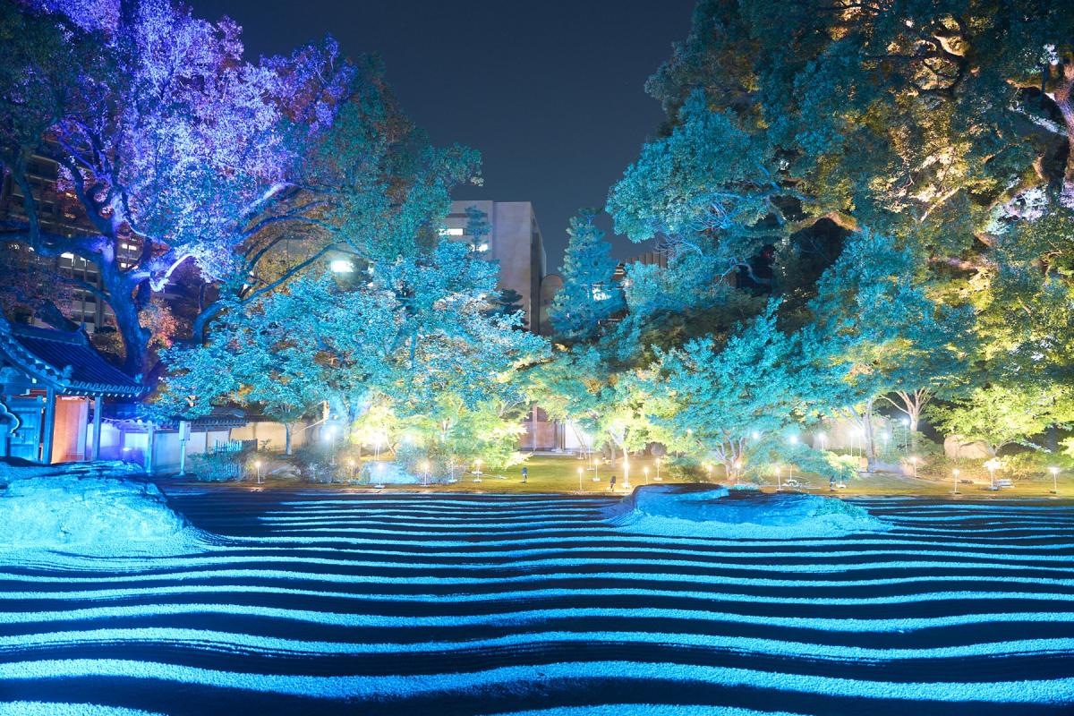 昨年開催時の承天寺のライトアップの様子