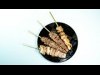 浜松・田町に屋台風居酒屋 30センチの串に刺さった大ぶりの肉を炭火焼きで