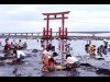 浜名湖潮干狩りが3年ぶりに再開 予約開始3日で5月の日程9割埋まる