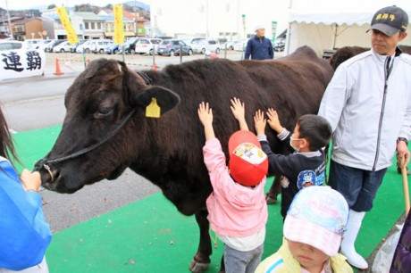 「おとなしくてかわいい」と飛騨牛を触る子どもたち