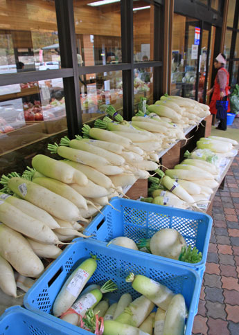 今は漬物シーズンのため大量購入する客も多い久々野町の大根