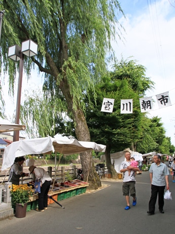 宮川朝市