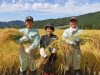 下呂のコメ農家・曽我康弘さん生産の「銀の朏」、「お米番付」で全国8選に