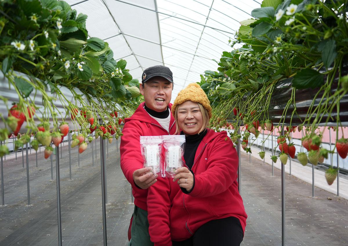 愛荘ストロベリーLab.を営む高橋拓磨さん・紗矢香さん夫婦