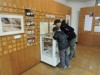 姫路市自然観察の森で「粘菌」特別展 観察会なども