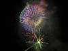 淀川河川公園で今年もサプライズ花火 「くらわんか花火大会」復活目指し1,000発