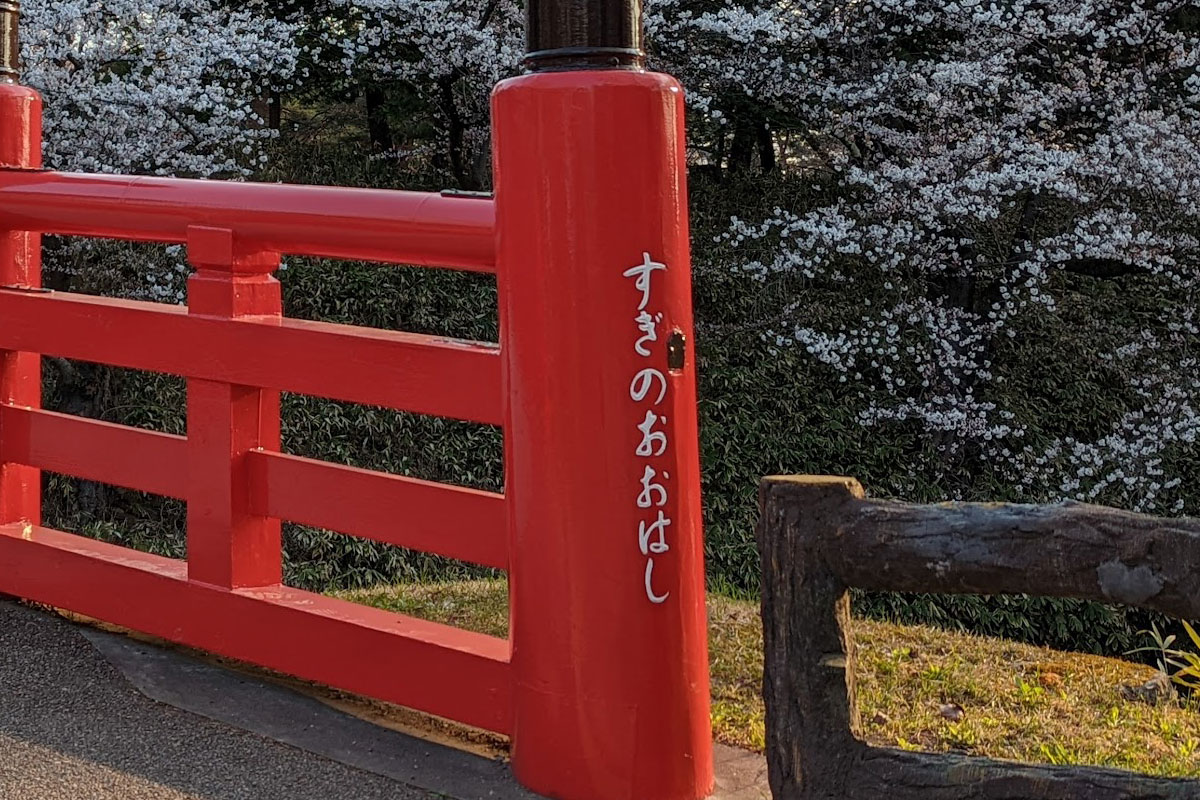 杉の大橋