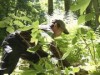 NHK紀行番組で西目屋村を特集 山菜採りや人形製作などを紹介