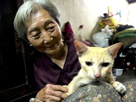 80歳の独居女性が50匹以上の捨て犬や猫を保護していること
