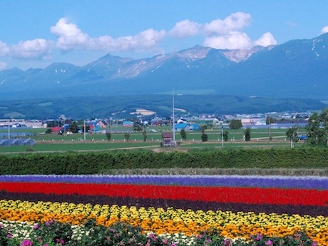 北海道の大自然と安全な食品をアピールする「Hokkaido Village」を開く予定